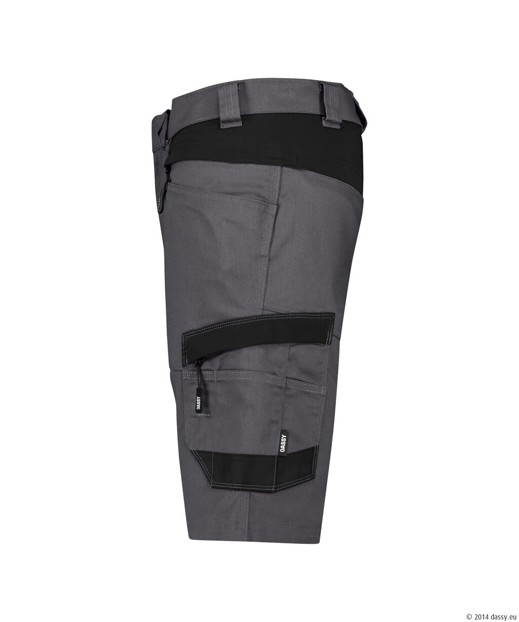 DASSY AXIS NEXT – Image 13